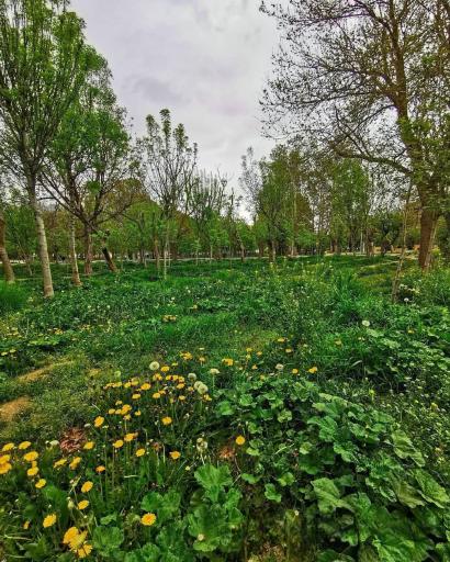 بوستان خانواده