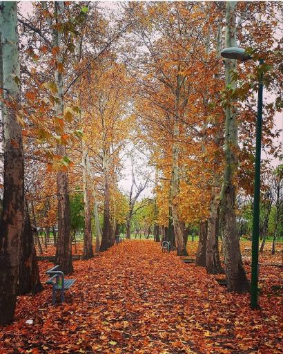 بوستان خانواده