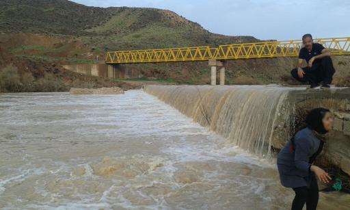 عکس قالینی