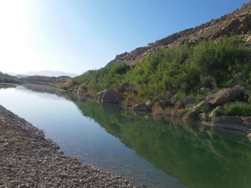 عکس قالینی