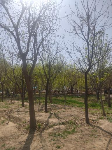 عکس بوستان خانواده