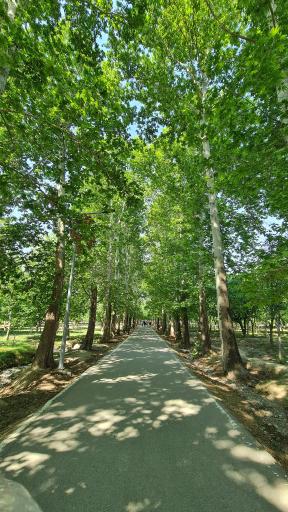 عکس بوستان خانواده