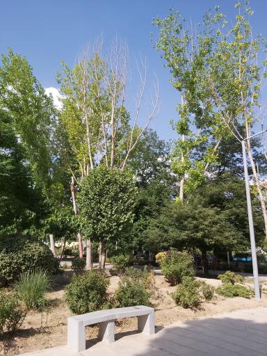 عکس بوستان خانواده