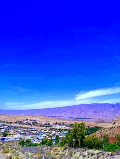 عکس قالینی