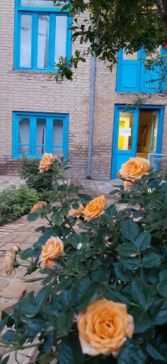 عکس اقامتگاه عمارت پنجره آبی