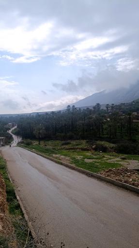 عکس قالینی