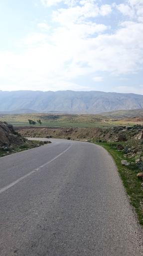 عکس قالینی