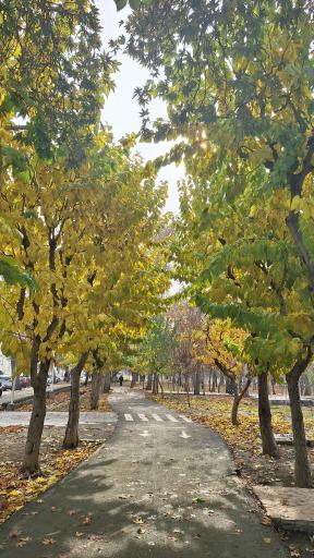 عکس بوستان خانواده