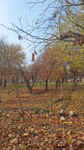 عکس بوستان خانواده