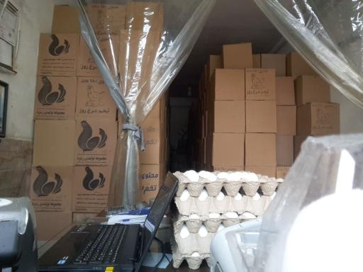 عکس تخم مرغ باغشنی