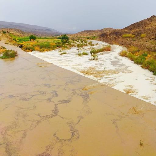 عکس قالینی
