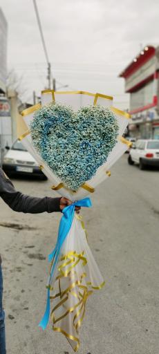 عکس گل ویترا
