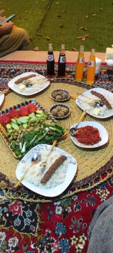 عکس غذا خوری گیل و دیلم