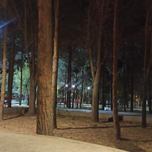 عکس بوستان تمدن