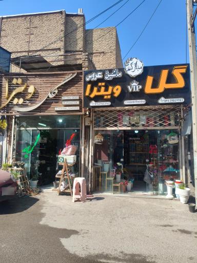 عکس گل ویترا