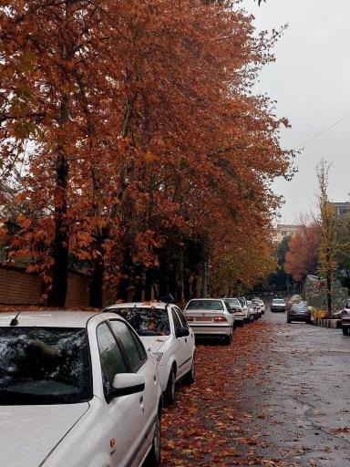 عکس پردیس تربیت معلم نسیبه