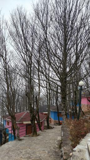 عکس هتل بام سبز رامسر