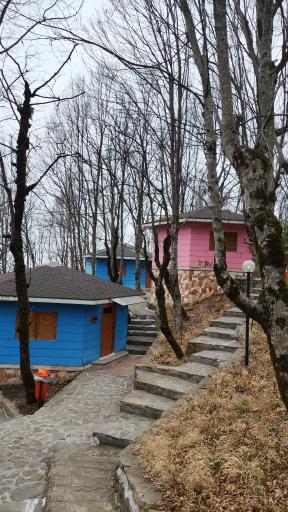 عکس هتل بام سبز رامسر