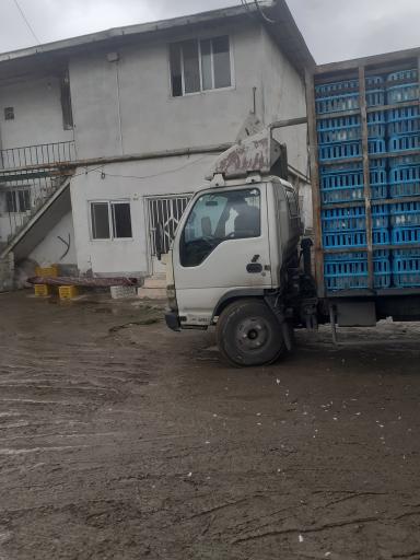 مرغداری حسن علیزاده