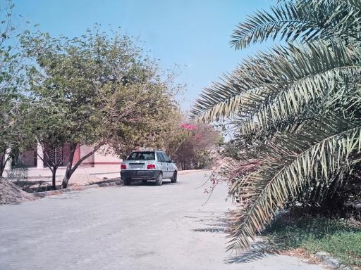 عکس موسسه آموزش عالی تابناک