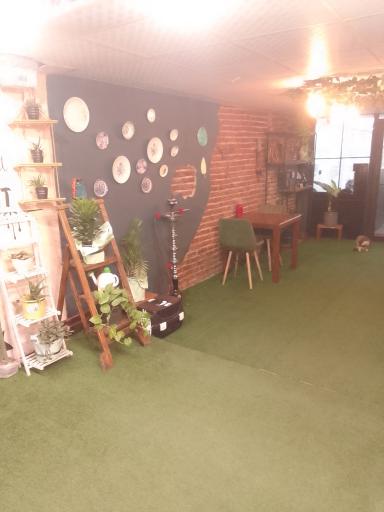 عکس کافه رستوران هما