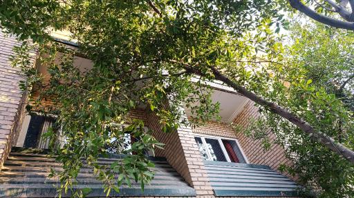 عکس پردیس تربیت معلم نسیبه