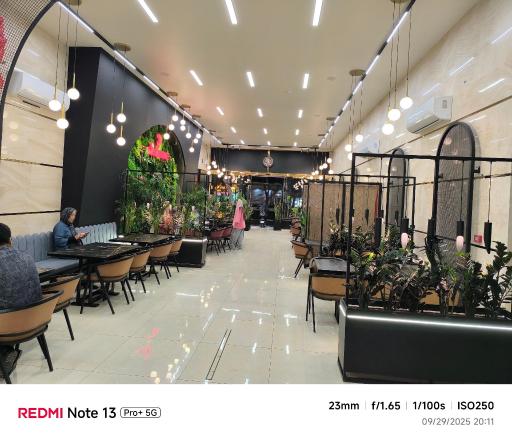 عکس فست فود دلیزون 