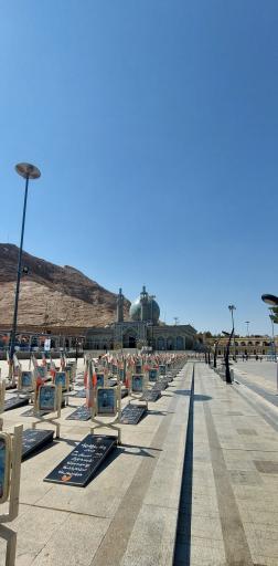 عکس امامزاده شاهرضا (ع)