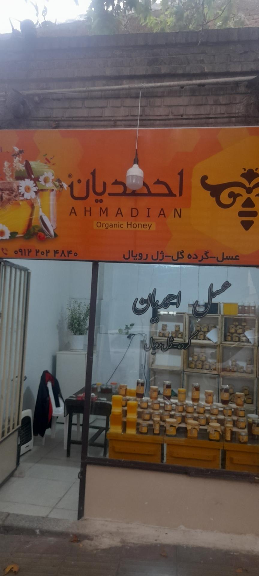 عکس عسل احمدیان