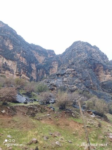 عکس سرفاریاب