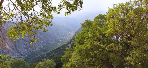 عکس سرفاریاب