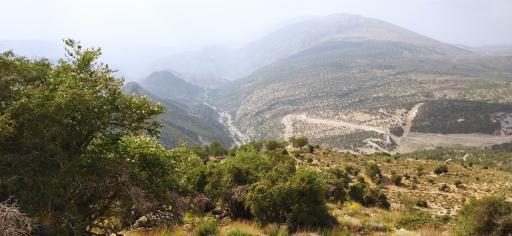 عکس سرفاریاب