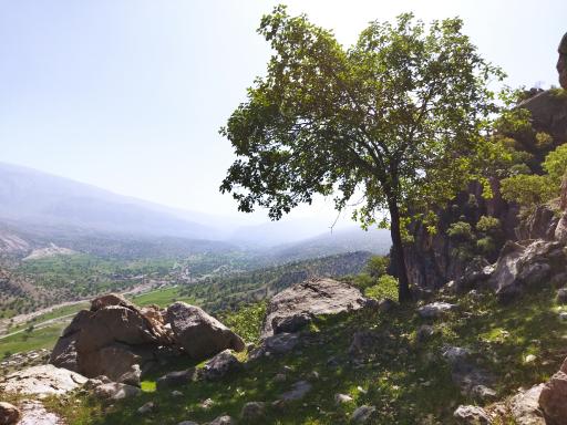 عکس سرفاریاب