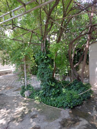 عکس دبیرستان دخترانه غیر دولتی پیام دانش رباط کریم 