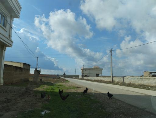 عکس عوض حاجی