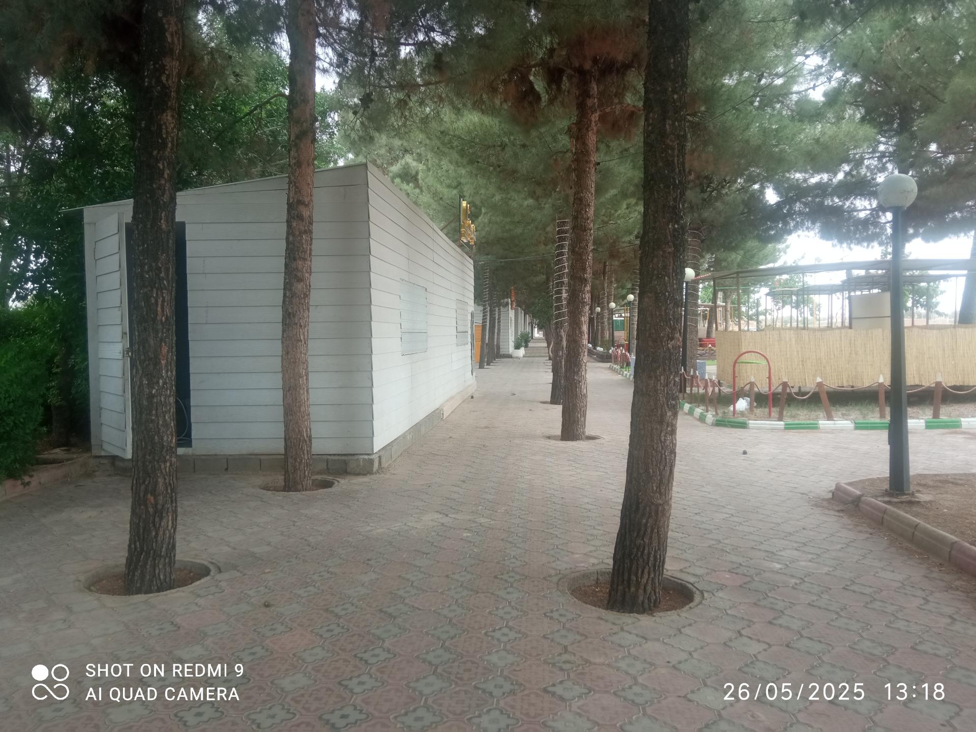عکس پارک خطی