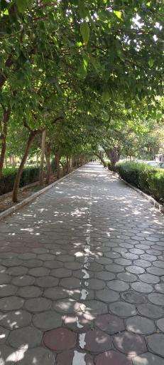 عکس بوستان پیروزی