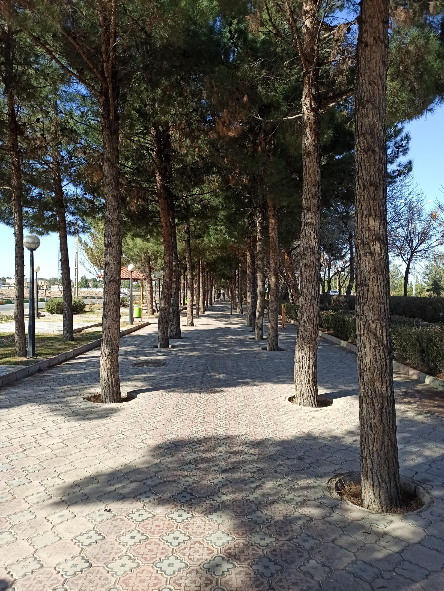 عکس پارک خطی