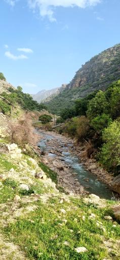 عکس سرفاریاب