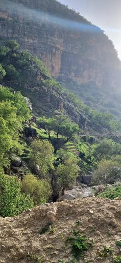 عکس سرفاریاب