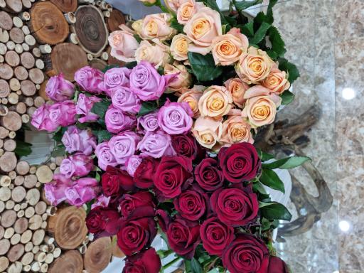 عکس باران هنر اهل