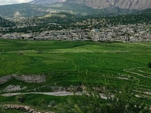 عکس سرفاریاب