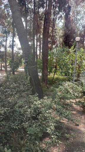 عکس بوستان پیروزی