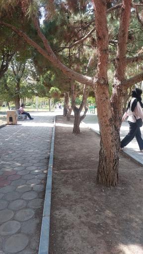عکس بوستان پیروزی
