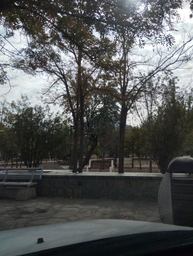 عکس پارک جنگلی 