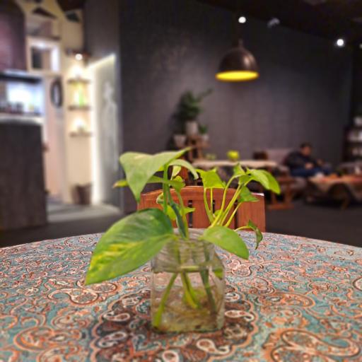 عکس کافه رستوران مردم