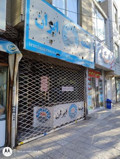 عکس بیمه ایران علیپور