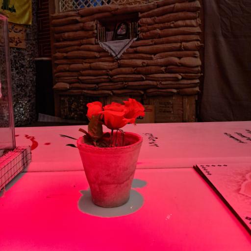 عکس یادمان شهدای گمنام شهر قدس