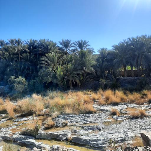 عکس کرشان