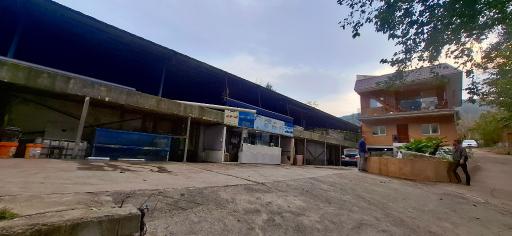 عکس پرورش ماهی قزل آلا فرهادی